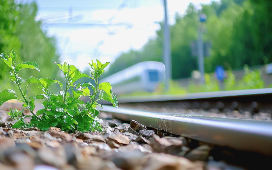 ITF 2026 Summit: Funding Resilient Transport